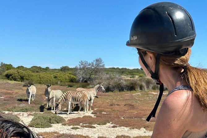 Half day Horse back safari - Lunch Made With Farm Ingredients