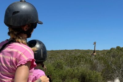 Half day Horse back safari