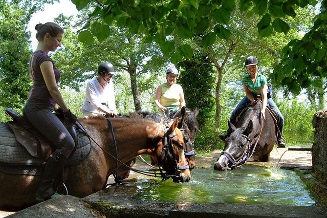Half-Day Horseback Ride in Tuscany - Riding through the Tuscan hills near Montieri