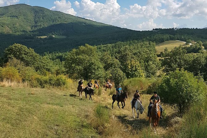 Half-Day Horseback Ride in Tuscany - The first stretch: a steady walk through the countryside