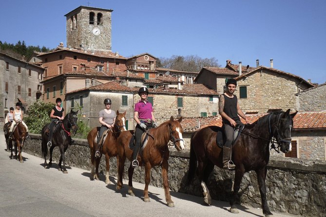 Half-Day Horseback Ride in Tuscany - Horses, tack, and guide support