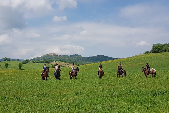 Half-Day Horseback Ride in Tuscany for beginner riders - Why this ride works well for first-time riders