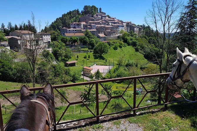 Half-Day Horseback Ride in Tuscany for beginner riders - Climbing Montieri Hill for the broad views