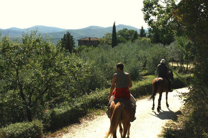 Half-Day Horseback Ride in Tuscany for beginner riders - What the two-hour length really gives you