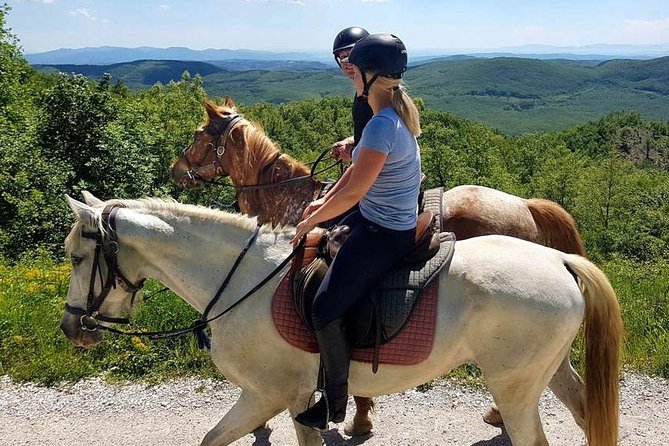 Half-Day Horseback Ride in Tuscany for beginner riders - Safety, pace, and the small-group advantage