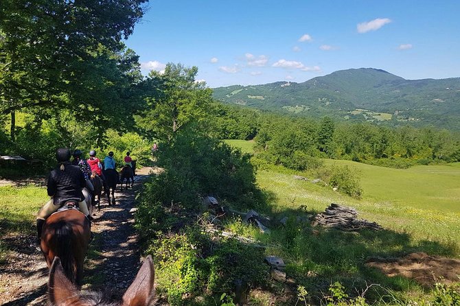 Half-Day Horseback Ride in Tuscany for beginner riders - Is the $120.16 price good value?