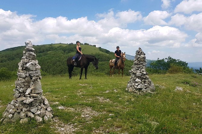 Half-Day Horseback Ride in Tuscany for beginner riders - Who should book this horseback ride