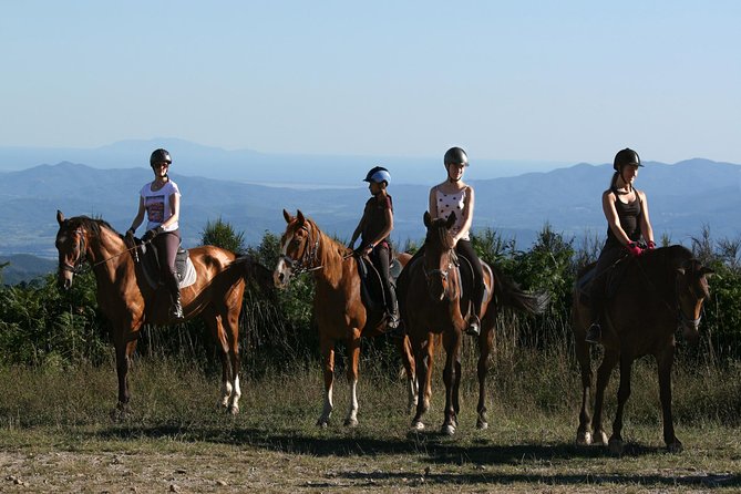 Half-Day Horseback Ride in Tuscany for beginner riders - Meeting the horses at Prategiano Stables