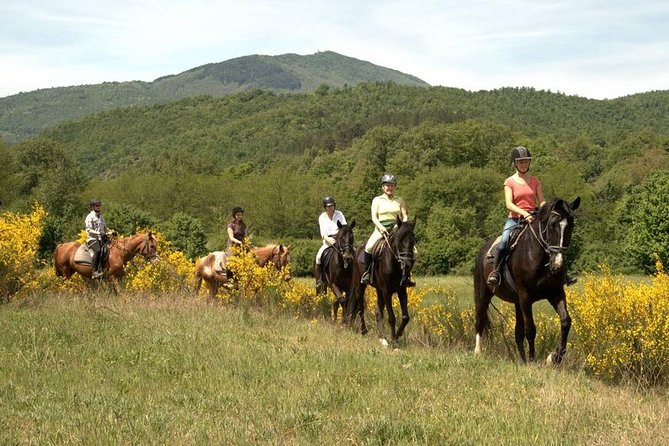 Half-Day Horseback Ride in Tuscany - Montieri Hill and the route toward the coast