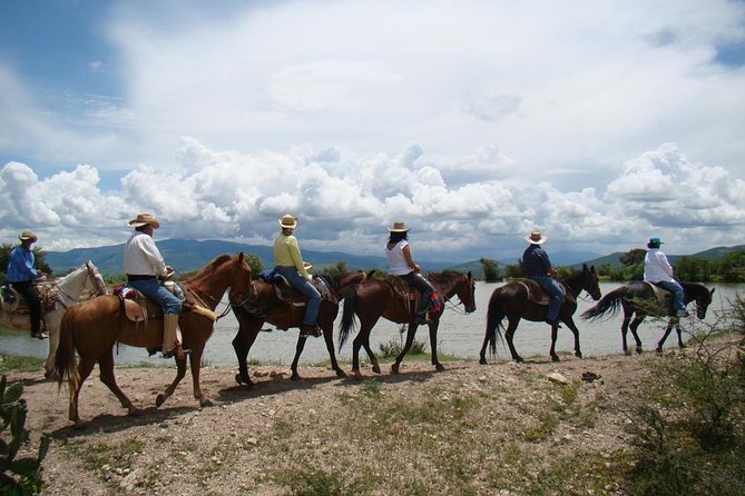 Half-Day Horseback Riding Adventure - Plains, cattle, and the descent