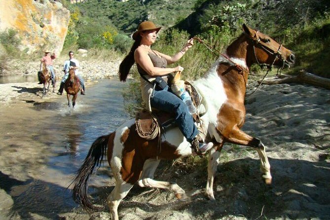 Half-Day Horseback Riding Adventure - Who will enjoy this most?