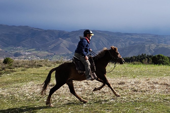 Half day Horseback Riding tour around Sacsayhuaman park - Why this ride makes sense in Cusco