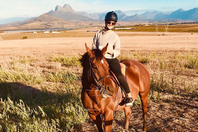 Half Day Horseback Wine Tour - Why this Stellenbosch ride is different
