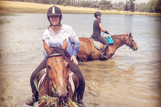 Half Day Horseback Wine Tour - Riding across four wine farms