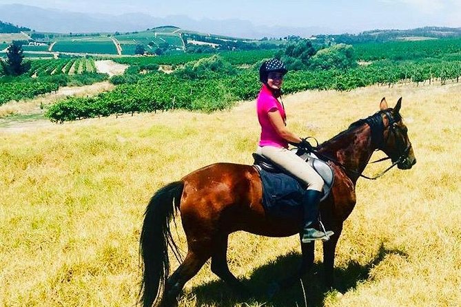 Half Day Horseback Wine Tour - How the five-hour schedule works