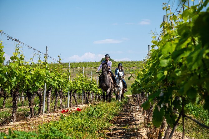 Half-Day of Horseback Adventure with Wine Tasting - Key details before you book