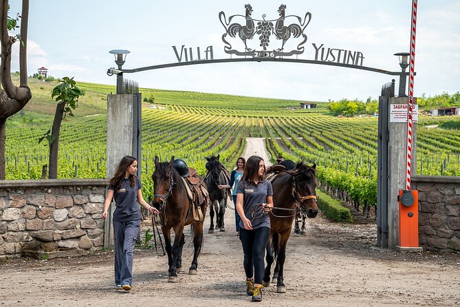 Half-Day of Horseback Adventure with Wine Tasting - A riverside pause with a packed lunch