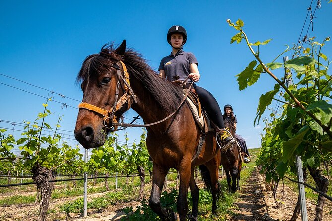 Half-Day of Horseback Adventure with Wine Tasting - Red Church and its unusual setting