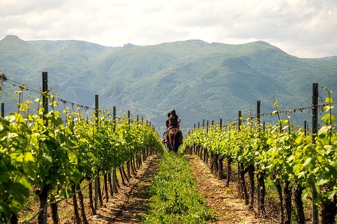 Half-Day of Horseback Adventure with Wine Tasting - Returning to the vineyard for Bulgarian wine