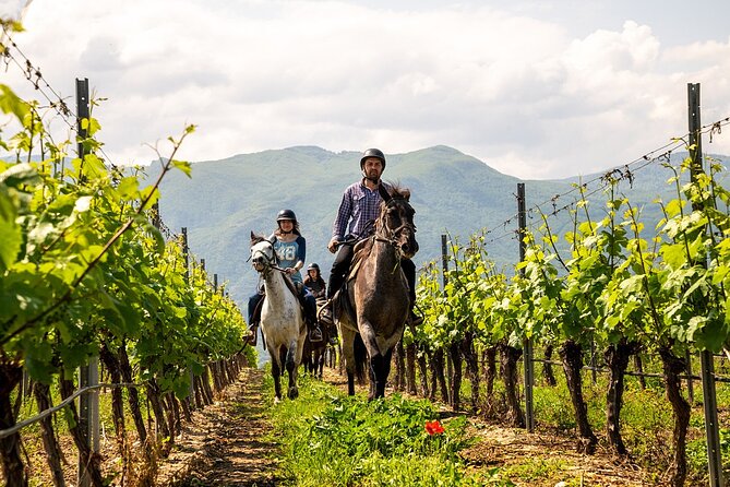 Half-Day of Horseback Adventure with Wine Tasting - Who will enjoy this outing most
