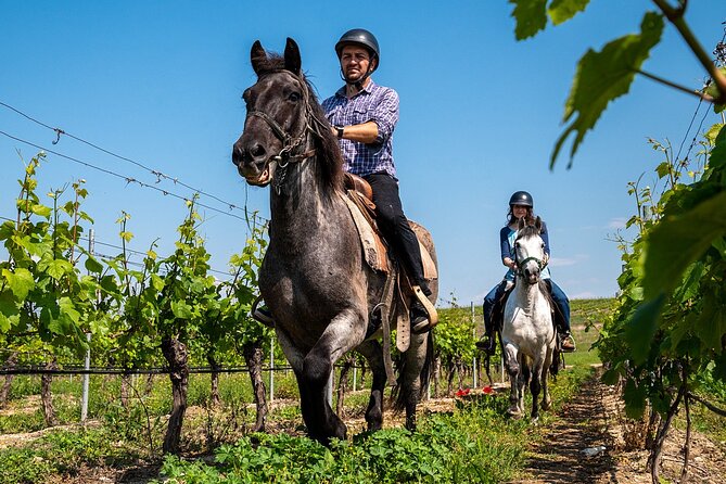 Half-Day of Horseback Adventure with Wine Tasting - Practical points that affect your decision