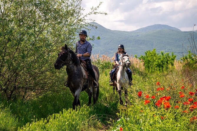 Half-Day of Horseback Adventure with Wine Tasting - Riding through vineyards and open countryside