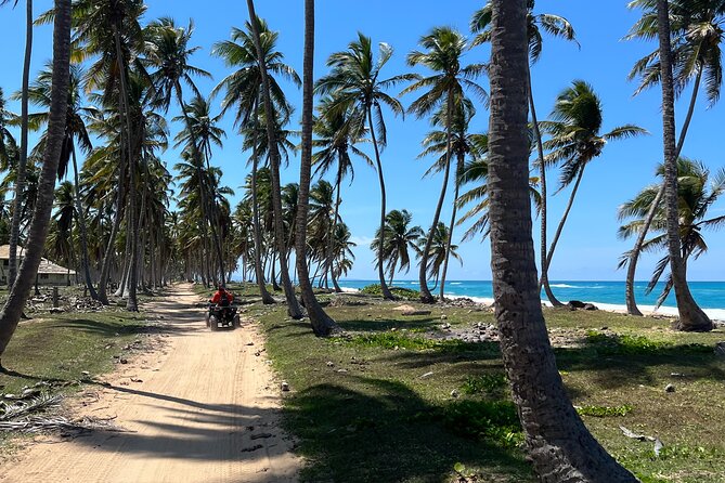 Half Day Safari and ATV or horses from Punta Cana - Quick takeaways