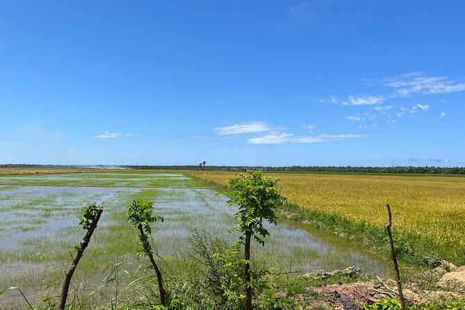 Half Day Safari and ATV or horses from Punta Cana - What the $116 price really buys