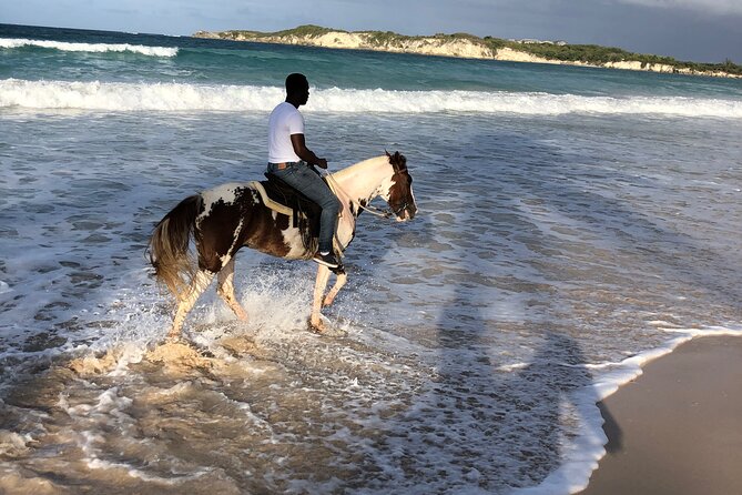 Half-Day Tour 2-in-1, Redonda Mountain & Horseback Riding Tour in Macao Beach - Who Will Enjoy This Tour Most