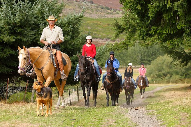 Half Day Walter Peak Horse Trek and Cruise from Queenstown - Is the $142.11 price fair?