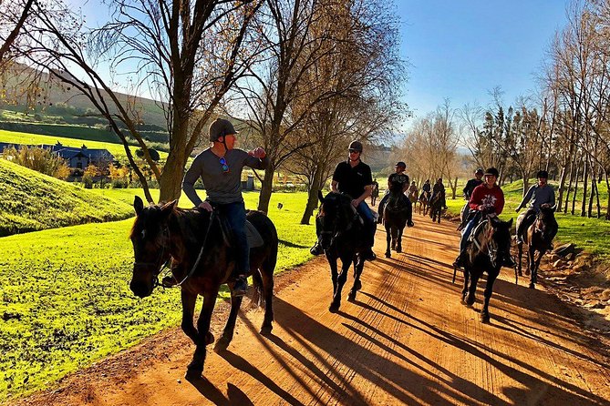 Half Day – Wine Tasting Horse Trail - Key points at a glance