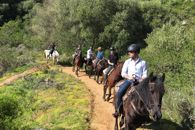 Half Day – Wine Tasting Horse Trail - Riding through the farm and vineyards