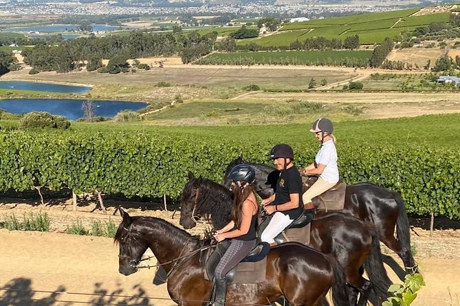 Half Day – Wine Tasting Horse Trail - The climb to the mountain viewpoint