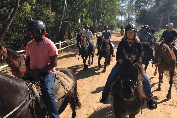 Half Day – Wine Tasting Horse Trail - Returning downhill for the wine tasting