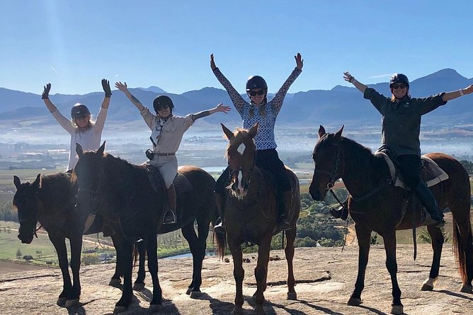Half Day – Wine Tasting Horse Trail - Meeting a herd of more than 300 horses