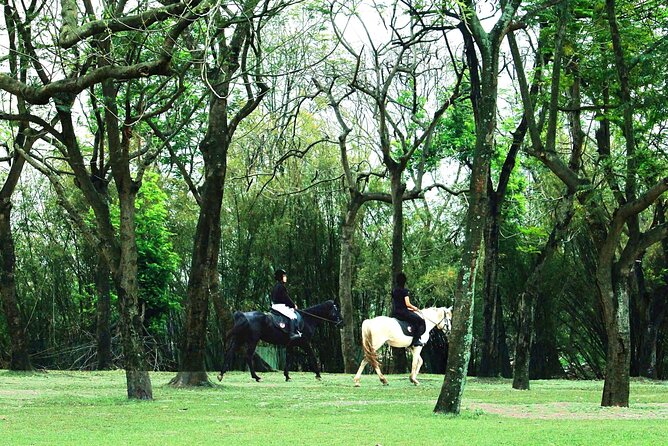 Hanoi Horseback Riding Club & Tours - Exclusive Experience - Quick facts about the Hanoi riding experience
