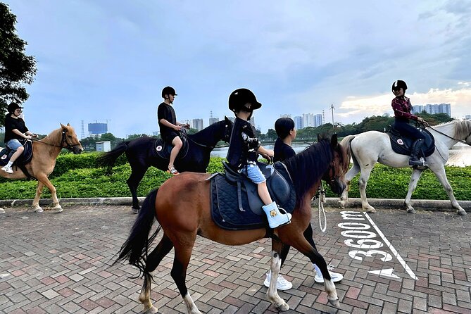 Hanoi Horseback Riding Club & Tours - Exclusive Experience - Feeding horses and painting a horseshoe