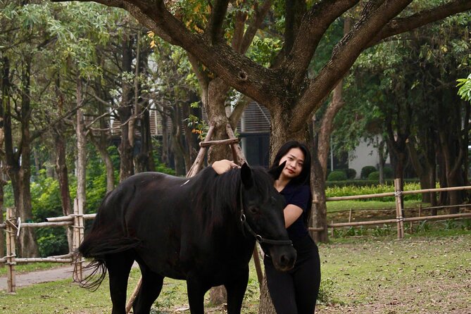 Hanoi Horseback Riding Club & Tours - Exclusive Experience - How this compares with other Hanoi activities