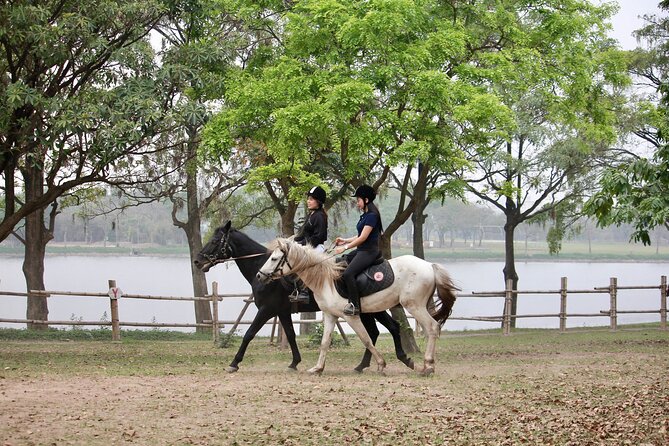 Hanoi Horseback Riding Club & Tours - Exclusive Experience - The 2,000-meter beginner trail