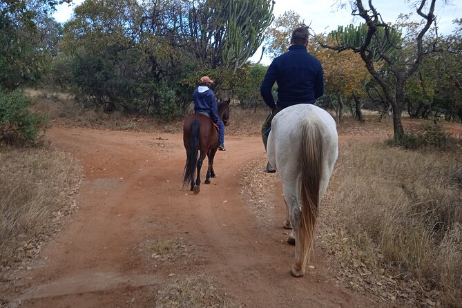 Harties Horse Trail Safari Half day - Key Points Before You Book