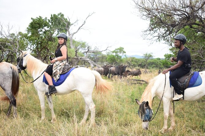 Harties Horse Trail Safari Half day - Wildlife Viewing From the Saddle