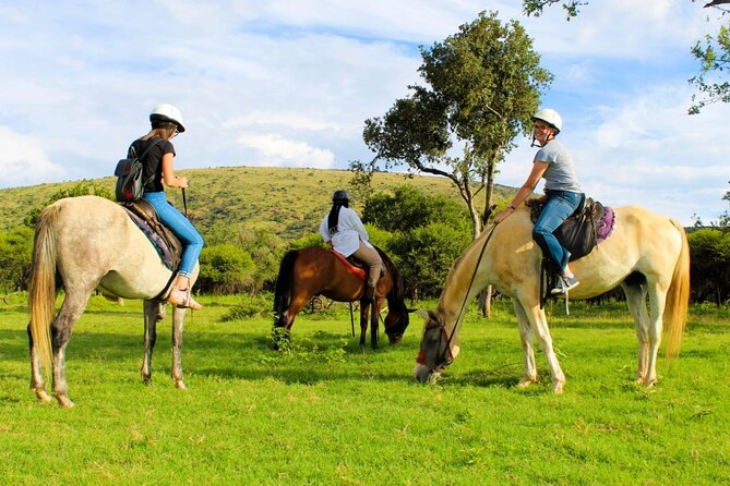 Harties Horse Trail Safari Half day - Is $106.96 a Fair Price?