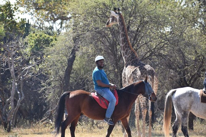Harties Horse Trail Safari Half day - The Four-Hour Plan Near Pretoria