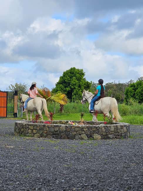 Hawaii: Small Group Rainforest Trail Ride - Key Points To Know Before You Ride