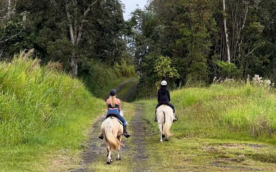 Hawaii: Small Group Rainforest Trail Ride - A Two-Person Ride Through Puna’s Rainforest