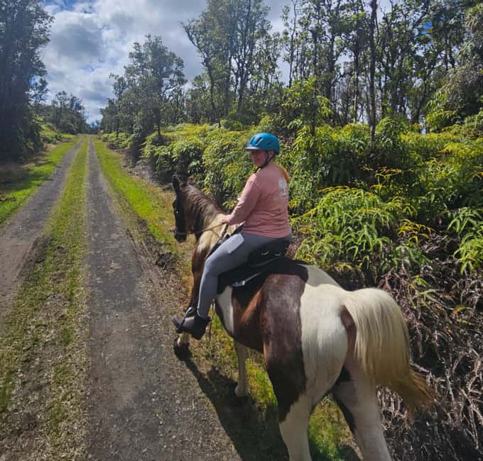 Hawaii: Small Group Rainforest Trail Ride - Is $105 A Fair Price For One Hour?