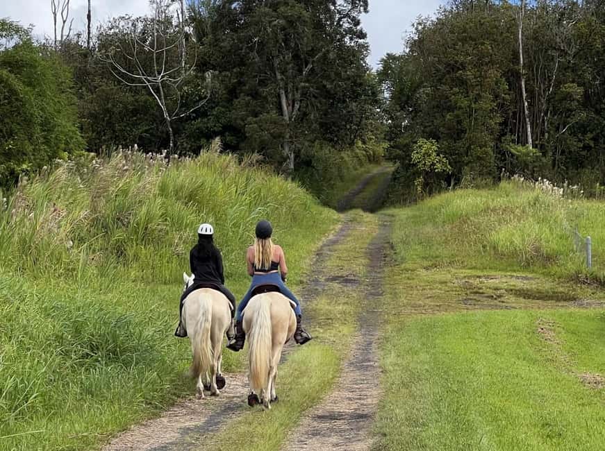 Hawaii: Small Group Rainforest Trail Ride - Who Will Enjoy This Ride Most?
