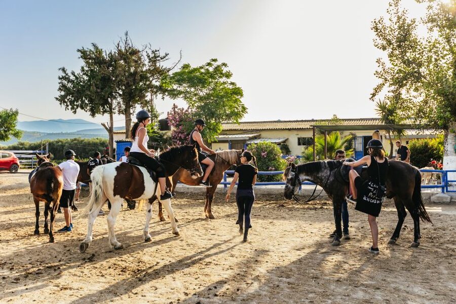 Heraklion: Finikia Horse Riding Tour with Lunch or Dinner - Who should book this ride?