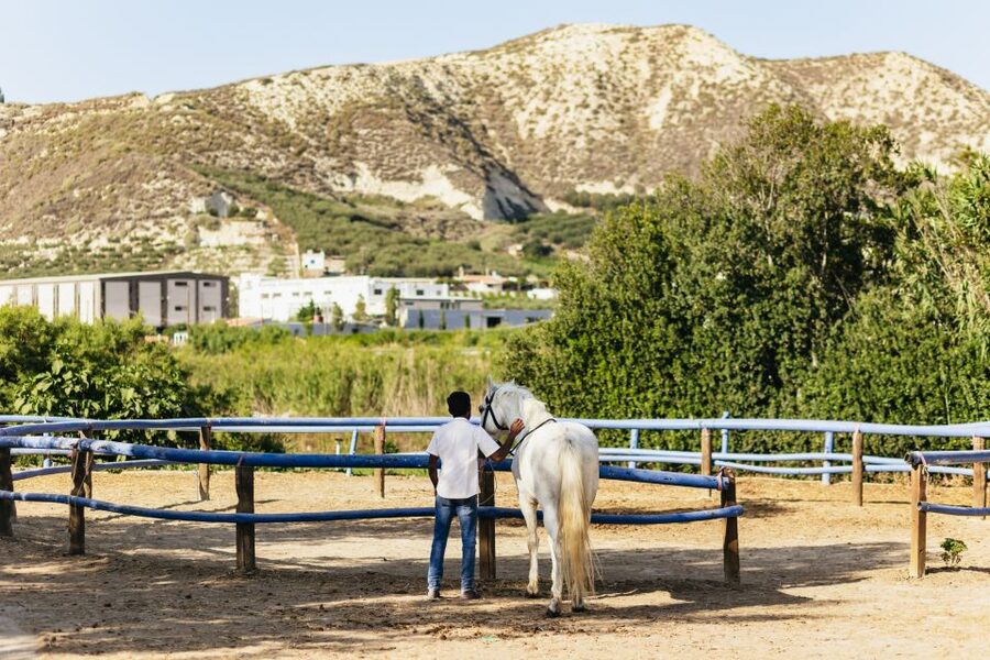 Heraklion: Finikia Horse Riding Tour with Lunch or Dinner - What this Finikia outing is really like