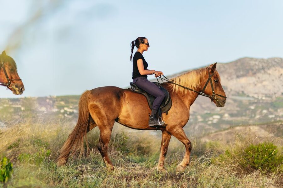 Heraklion: Horse Ride in the Cretan Mountains - Should you book the Finikia mountain ride?
